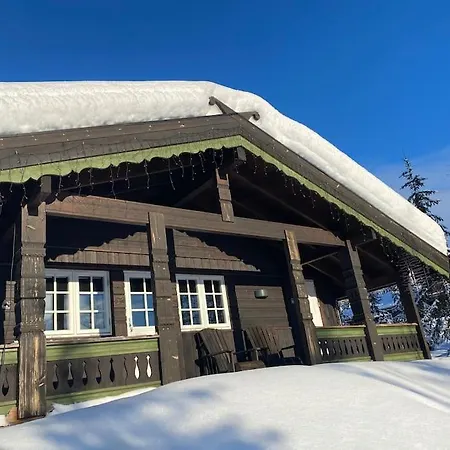 Trysil - Koselig Norsk Fjellhytte * Nybergsund