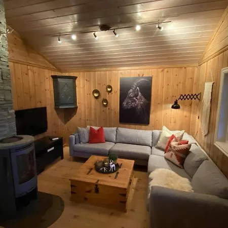 Trysil - Koselig Norsk Fjellhytte Сasa de vacaciones