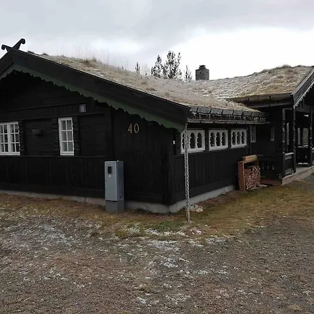 Trysil - Koselig Norsk Fjellhytte Holiday home *